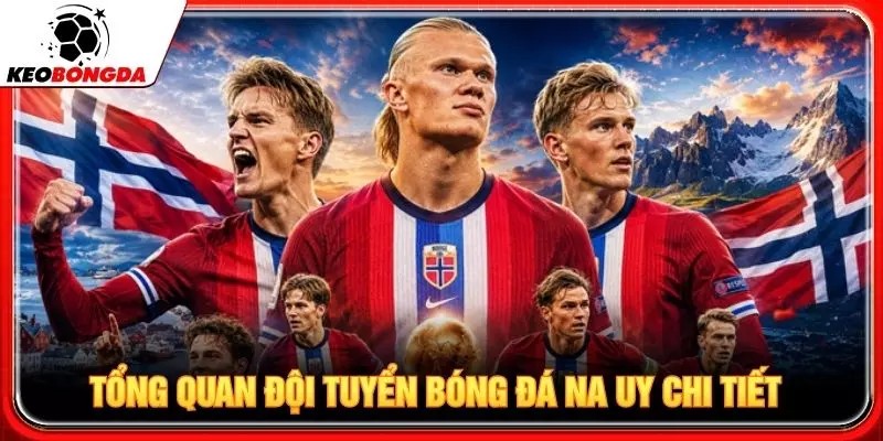 Tổng quan đội tuyển bóng đá Na Uy chi tiết