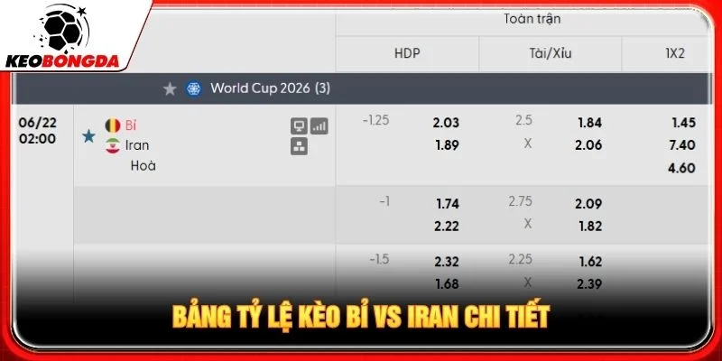 Bảng tỷ lệ kèo Bỉ vs Iran chi tiết Bảng tỷ lệ kèo Bỉ vs Iran chi tiết