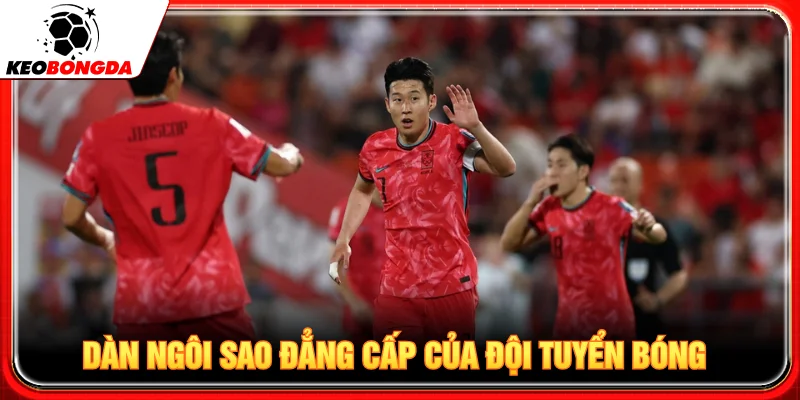 Cầu thủ nổi bật của đội tuyển bóng đá quốc gia Hàn Quốc