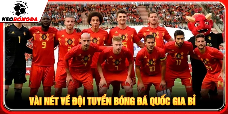 Đội tuyển bóng đá quốc gia Bỉ định hướng rõ ràng