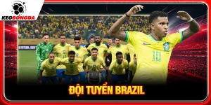đội tuyển brazil