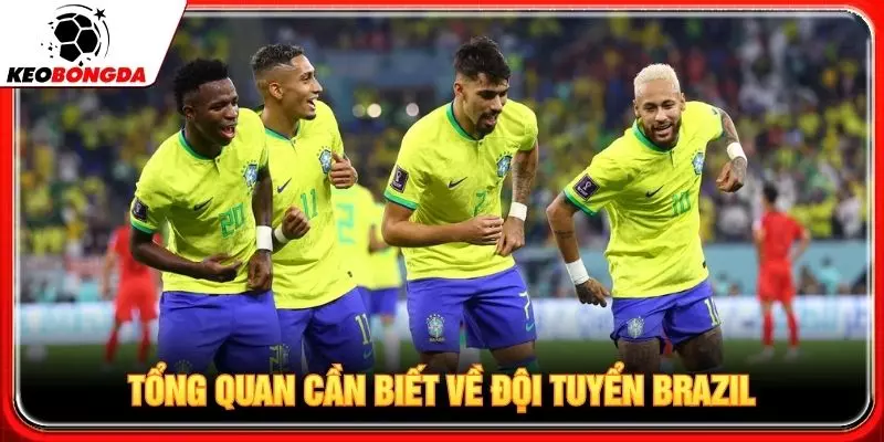 Tổng quan cần biết về đội tuyển Brazil