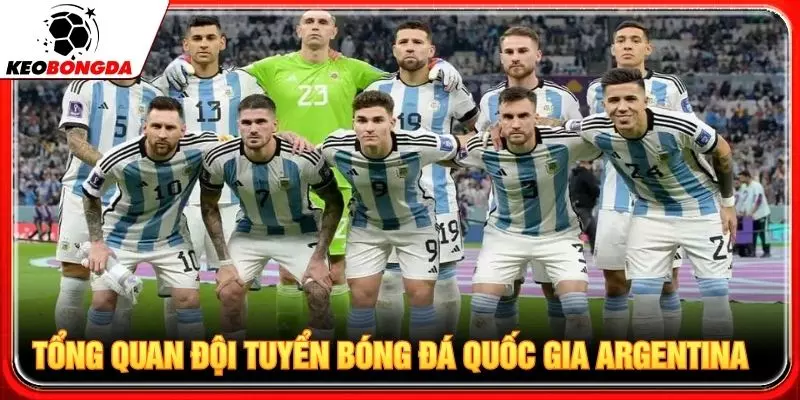 Tổng quan đội tuyển bóng đá quốc gia Argentina
