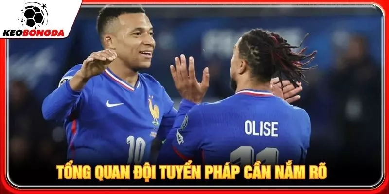 Tổng quan đội tuyển Pháp cần nắm rõ