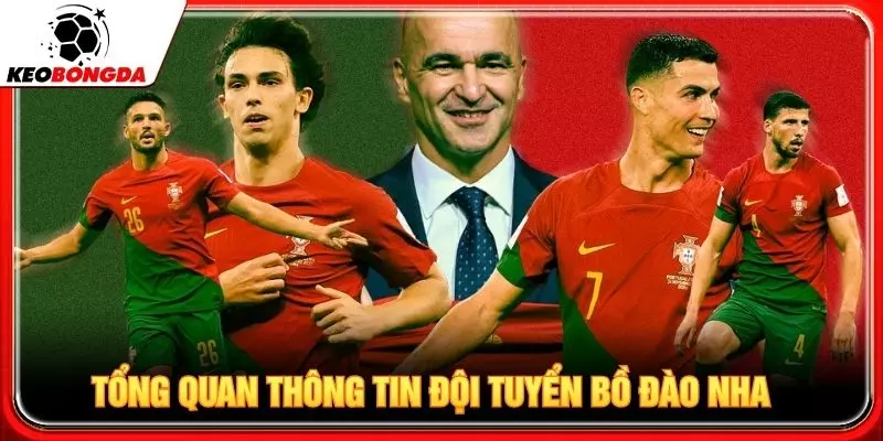 Tổng quan thông tin đội tuyển Bồ Đào Nha hiện nay