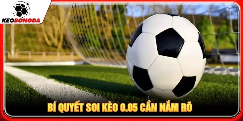 Bí quyết soi kèo 0.05 cần nắm rõ