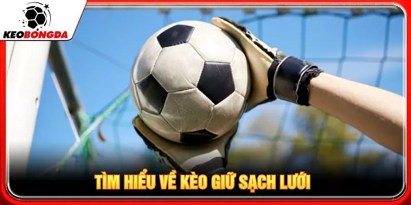 Tìm hiểu về kèo giữ sạch lưới
