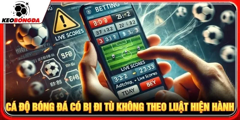 Cá độ bóng đá có bị đi tù không theo luật hiện hành