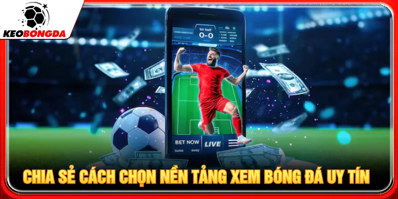 Cần biết các quy định về cá độ bóng đá có hợp pháp không