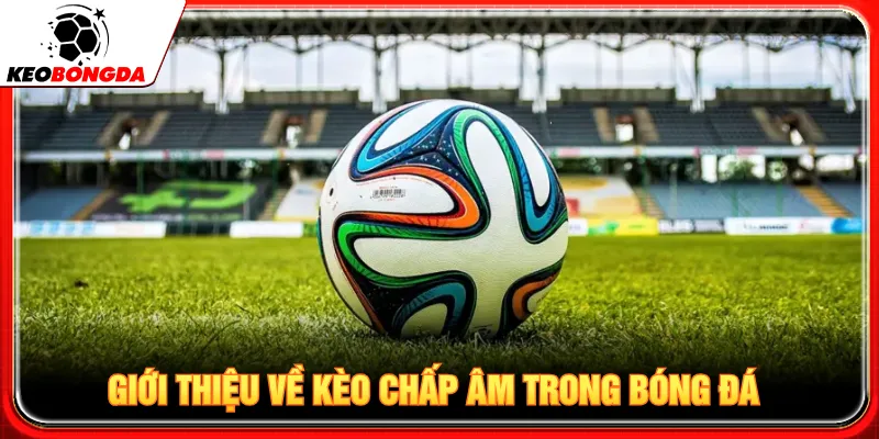 Kèo chấp âm được hiển thị theo các mức cược Malay