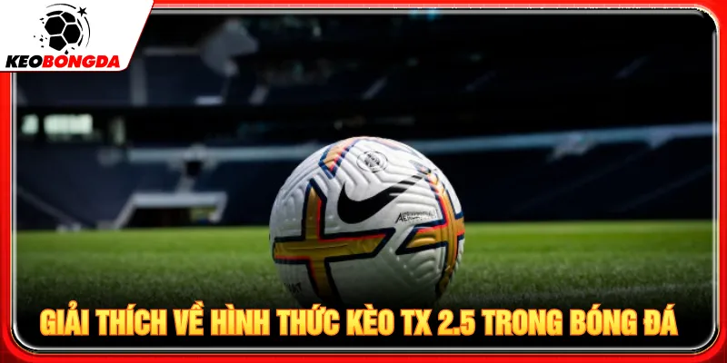 Kèo tx 2.5 sẽ không có trường hợp xuất hiện kết quả hòa