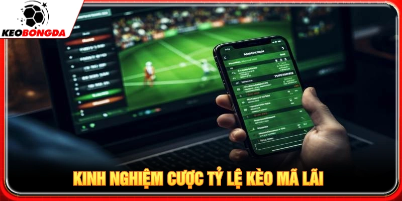 Kinh nghiệm chinh phục dạng tỷ lệ kèo Ma Lai 