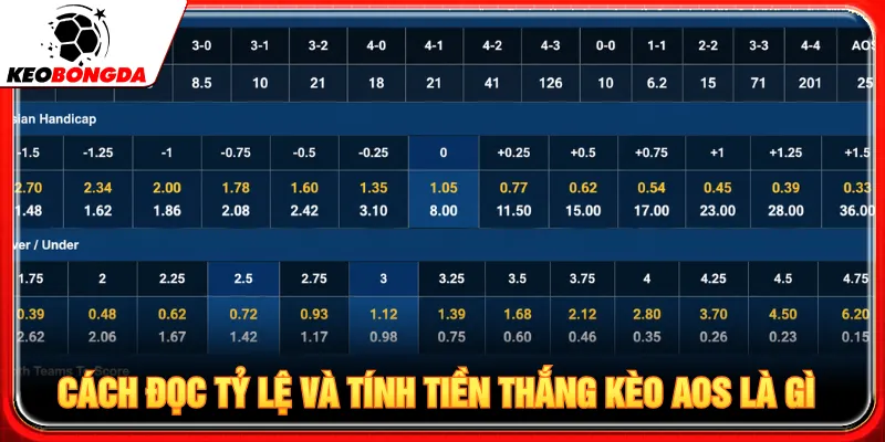 Người mới cần nắm rõ cách đọc tỷ lệ để tránh mất sạch vốn