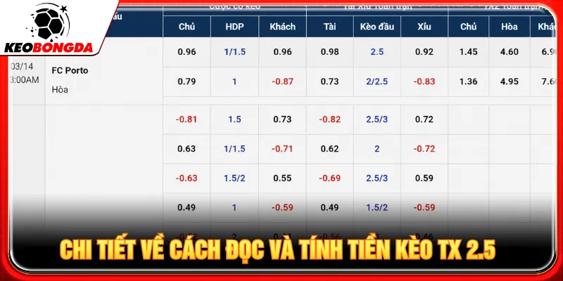 Người mới cần nắm rõ cách đọc và tính thắng thua của kèo
