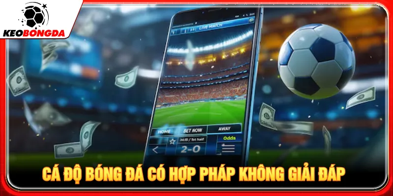 Nhiều người thắc mắc cá độ bóng đá có hợp pháp không