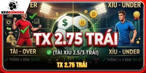 TX 2.75 trái