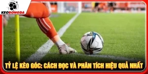 Tỷ Lệ Kèo Góc: Cách Đọc Và Phân Tích Hiệu Quả Nhất