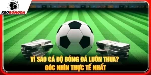 Vì Sao Cá Độ Bóng Đá Luôn Thua? Góc Nhìn Thực Tế Nhất
